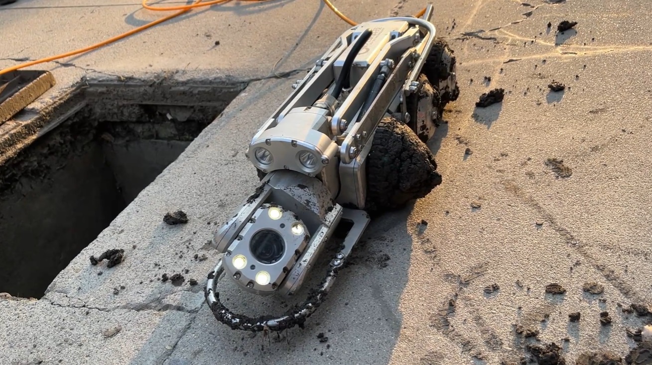 1700012734772.jpg 1700012734772.jpg